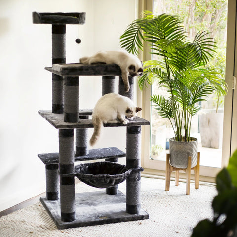 Kazoo 5 Level Cat Playground Charcoal