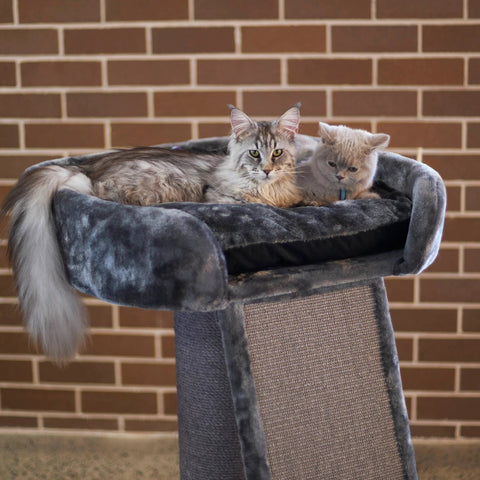 Kazoo High Bed Cat Scratch Post with Ramp Charcoal