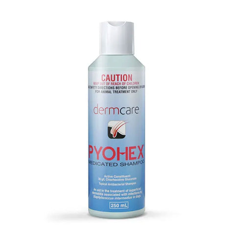 Dermcare Pyohex Medicated Shampoo 250ml
