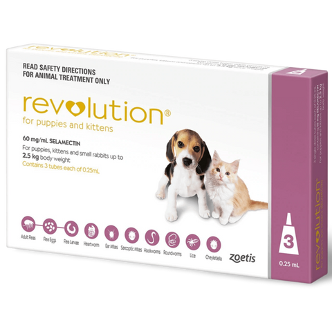 Revolution Puppies and Kittens Mauve