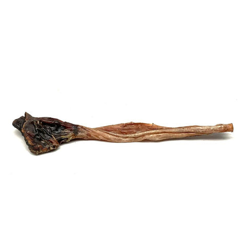 Evolution Pet Treats Kangaroo Tendons Dog Treats