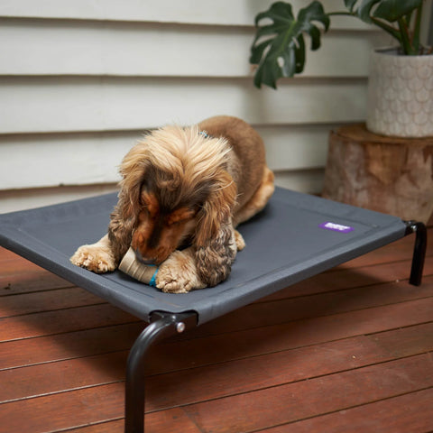 Kazoo Premium Outdoor Dog Bed Charcoal