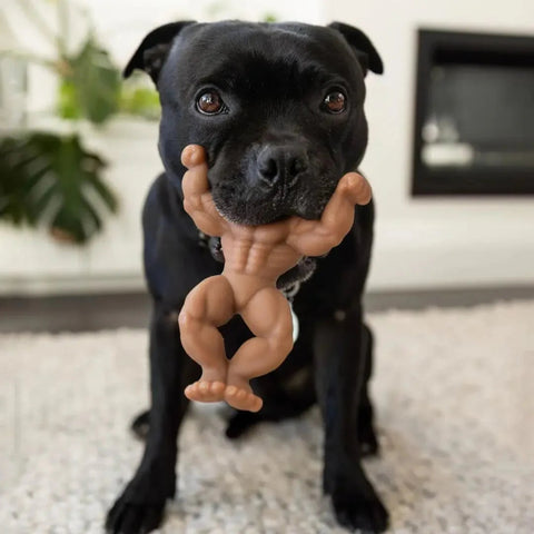 Happy Staffy Co Staffy Schwarzenegger Dog Toy