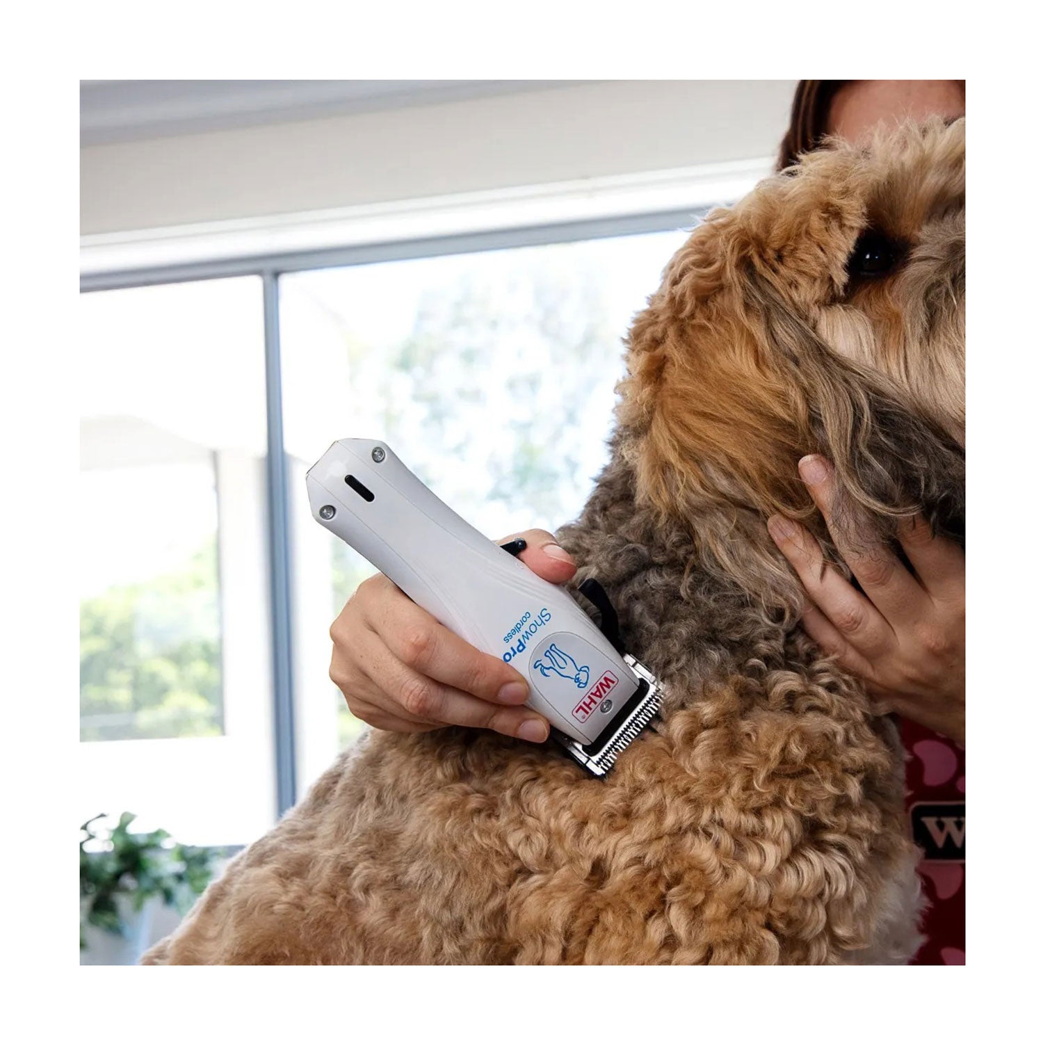 Wahl Show Pro Cordless Pet Clipper - Main Image