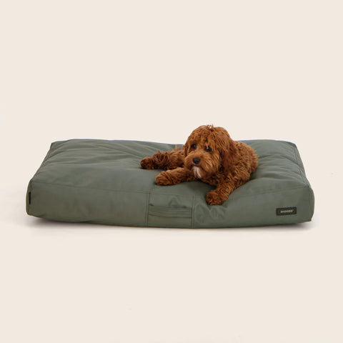 Snooza Modern D1000 Outdoor Dog Bed Eucalyptus