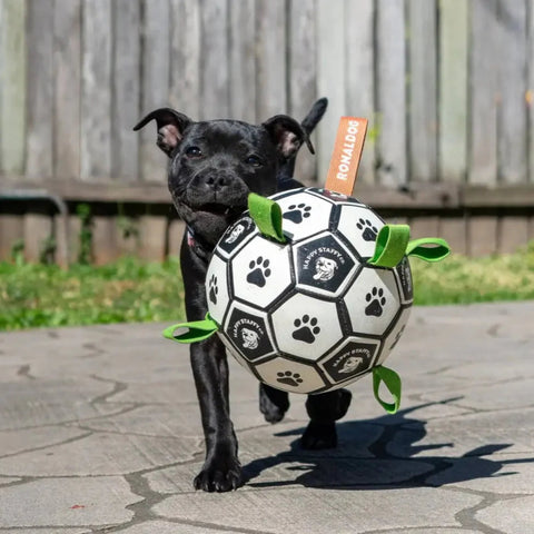 Happy Staffy Co Ronaldog Soccer Ball Dog Toy