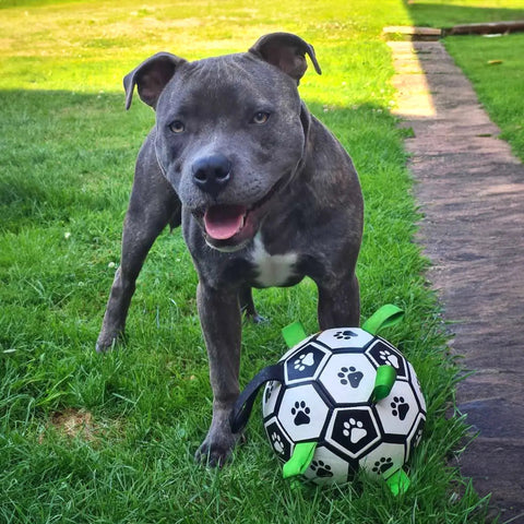 Happy Staffy Co Ronaldog Soccer Ball Dog Toy