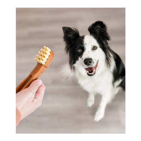 WHIMZEES Toothbrush Dental Dog Treats X-Small 48pk