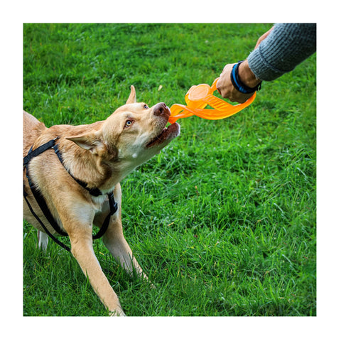 Bionic Toss 'n Tugg Dog Toy