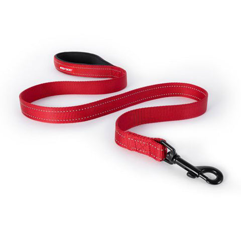 EzyDog Essential Lead 25mm