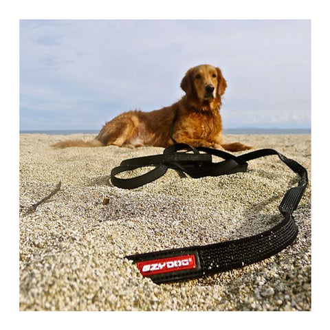 EzyDog Track N Train Lead