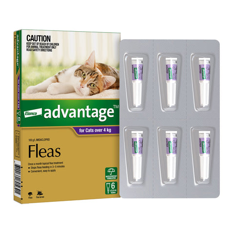 Advantage Flea Treatment for Cats over +4kg
