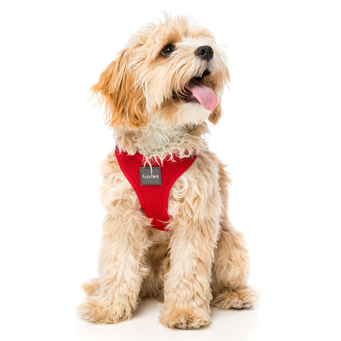 FuzzYard Rebel Step In Dog Harness Red