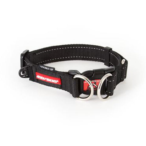 EzyDog Double Up Collar