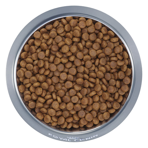 Royal Canin Maxi Puppy Dry Dog Food