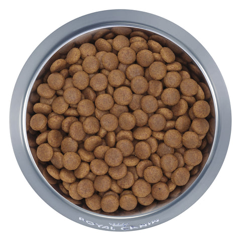 Royal Canin Maxi Adult 5+ Dry Dog Food 15kg