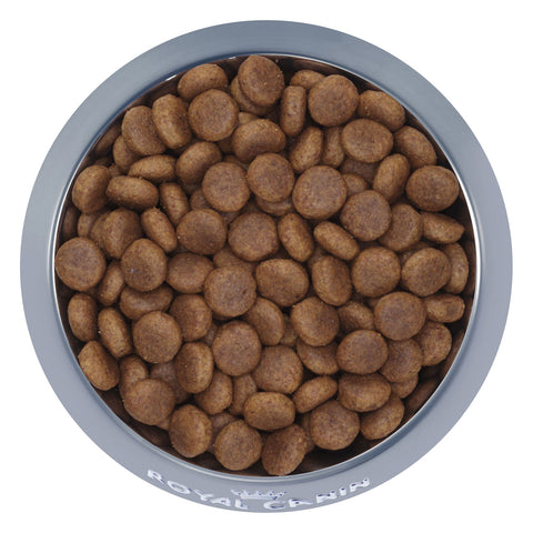 Royal Canin Maxi Adult Dry Dog Food 4kg