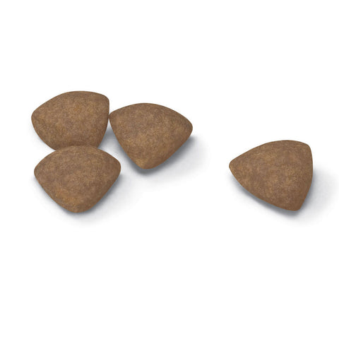 Royal Canin Mini Puppy Dry Dog Food