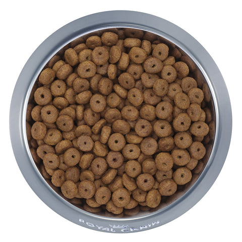 Royal Canin Maxi Ageing 8+ Dry Dog Food 15kg