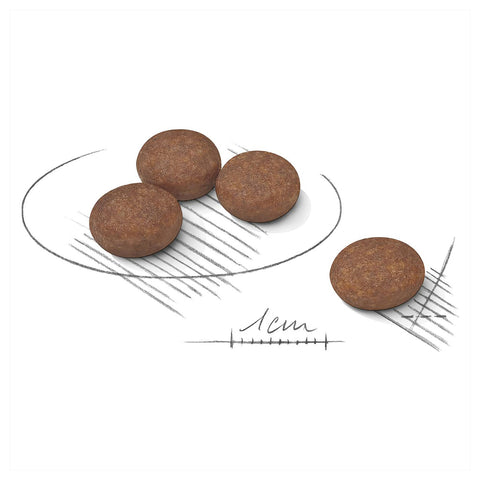 Royal Canin Mini Digestive Care Adult Dry Dog Food