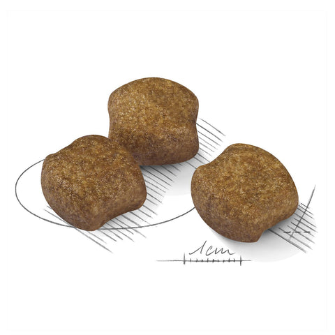 Royal Canin Medium Dental Care Adult Dry Dog Food