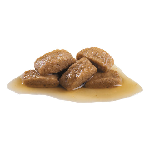 Royal Canin Maxi Adult Wet Dog Food