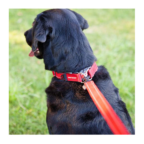 EzyDog Double Up Collar