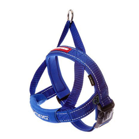 EzyDog QuickFit Harness